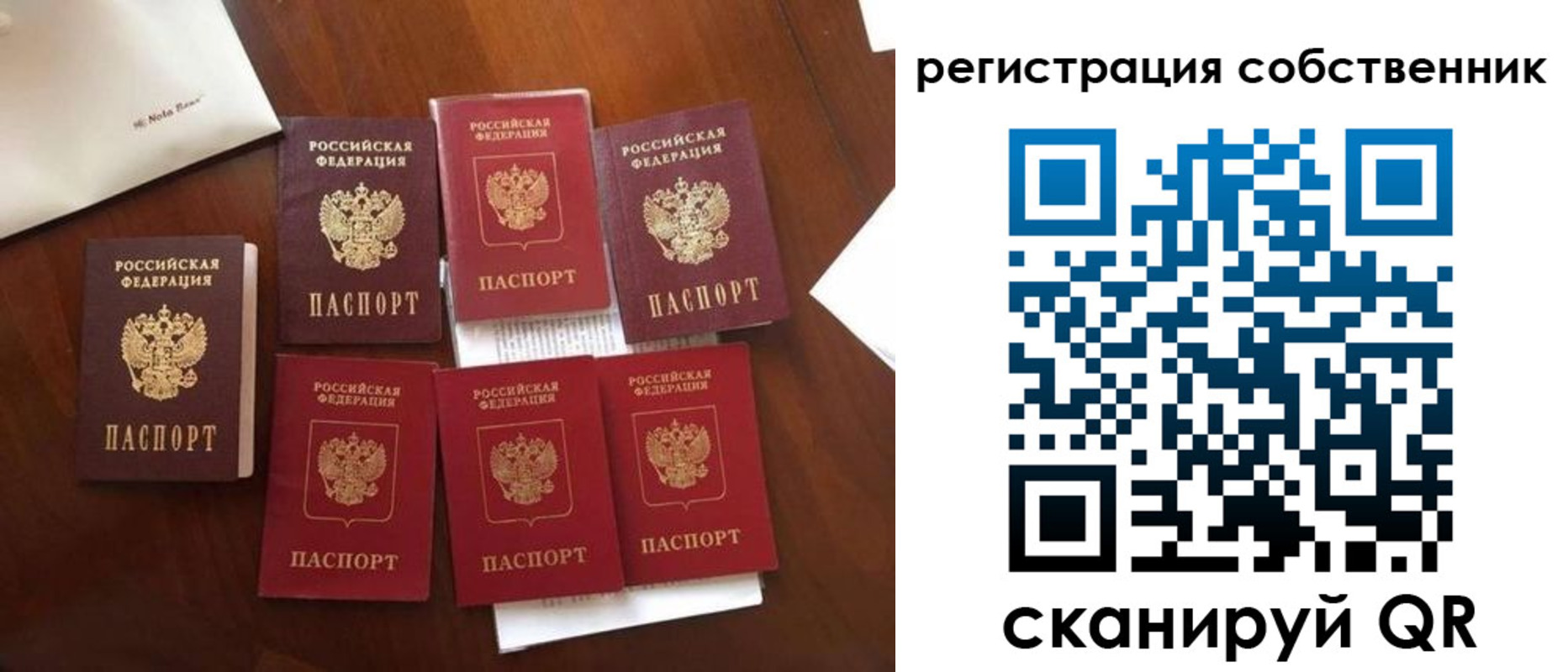 найти адрес прописки в Светлогорске